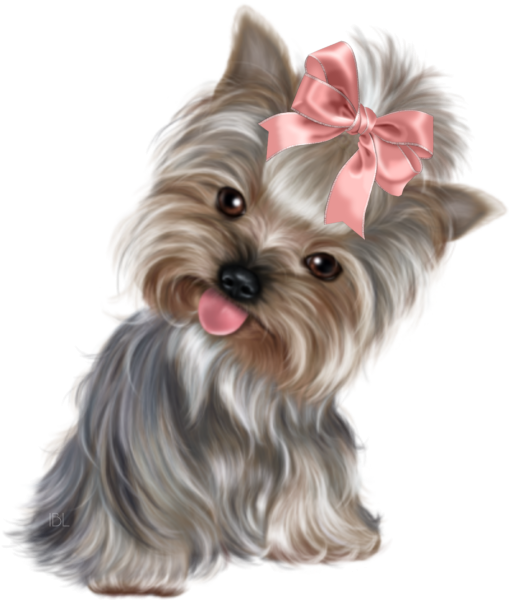 Йоркширский терьер Джульетта