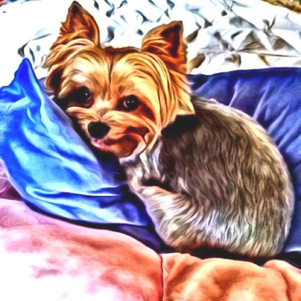 Бивер Йорк акварелью