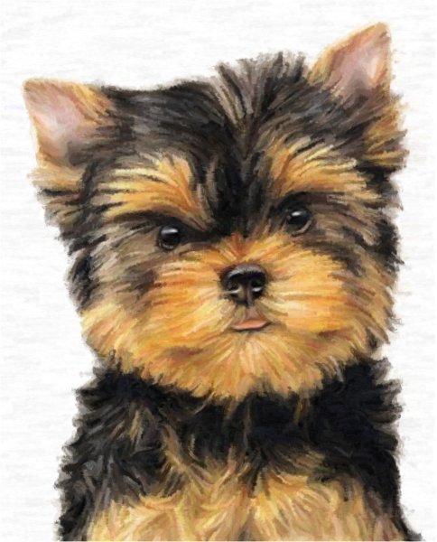 Йорк мультяшный