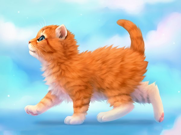 Рыжий котёнок