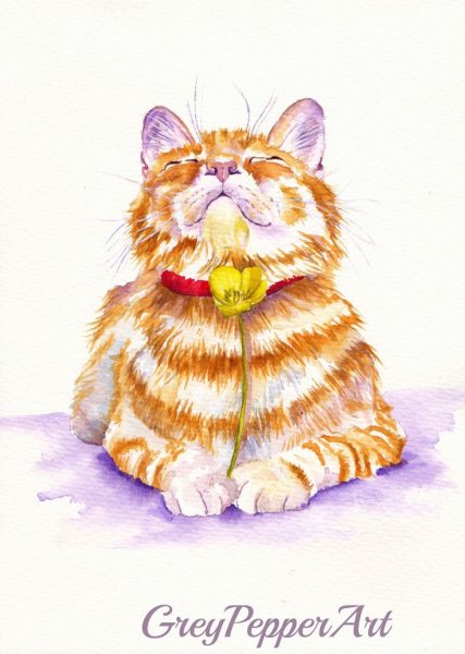 Рыжие коты акварелью