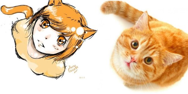 Анимешный рыжий кот