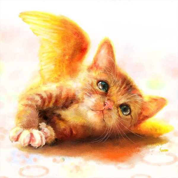 Рыжий котенок арт