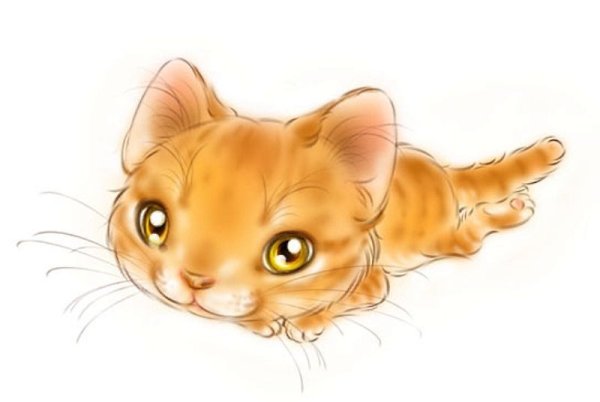 Кот с оленьими рожками