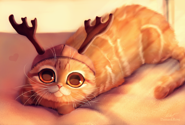 Рыже белый кот арт