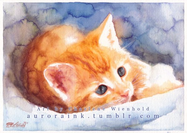 Пушистый кот рисунок