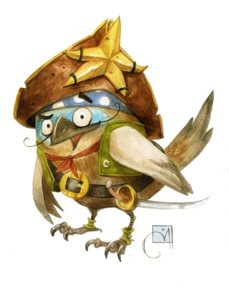 Птица пират