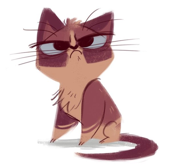 Вредный котик