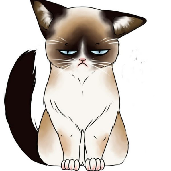 Нарисовать кота