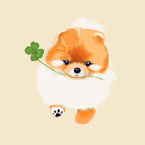 Милый мультяшный шпиц