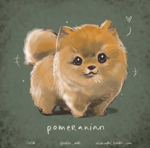 Шпиц мультяшный