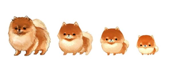 Шпиц иллюстрация