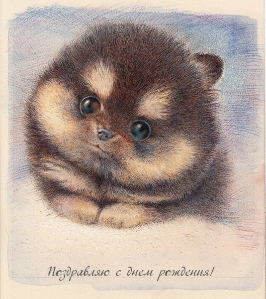 Нарисовать шпица