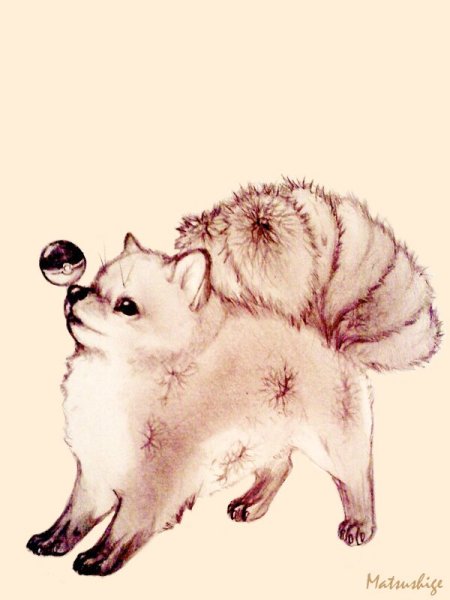 Шпиц померанский Art