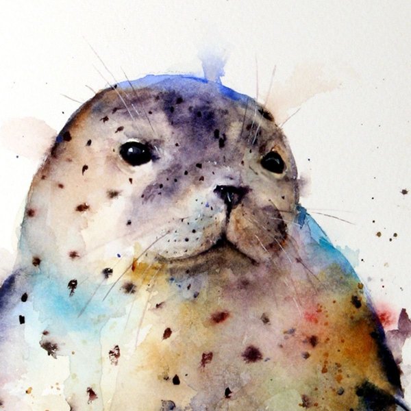 Тюлень акварелью