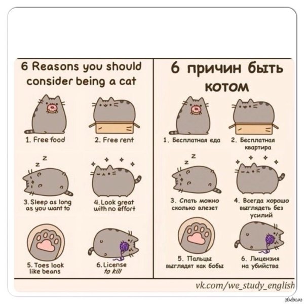 Цитаты на английском