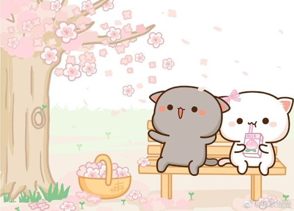 Кавайные котики любовь