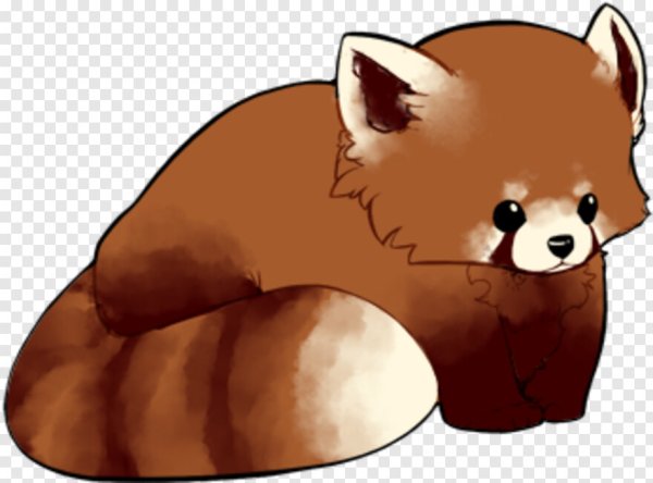 Красная Панда рисунок для срисовки