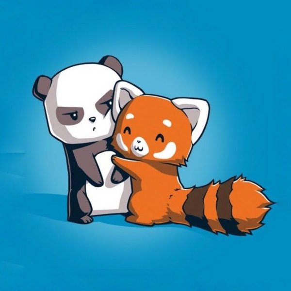 Панда и лиса