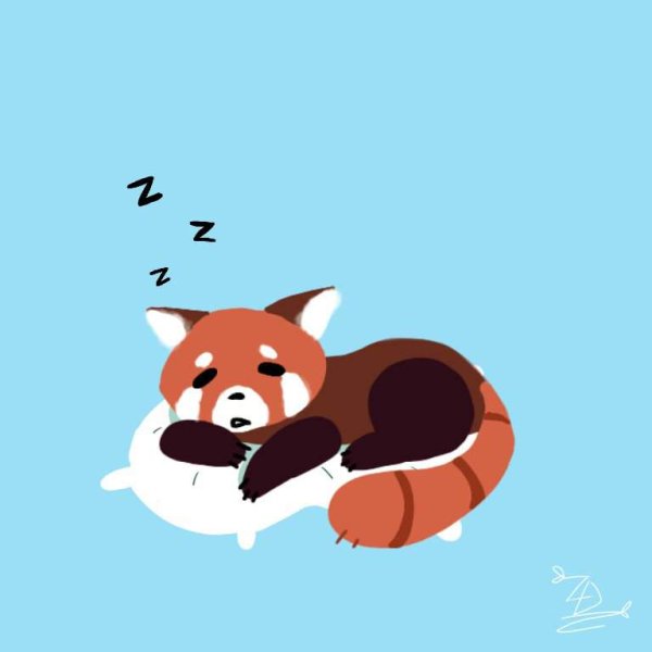 Красная Панда