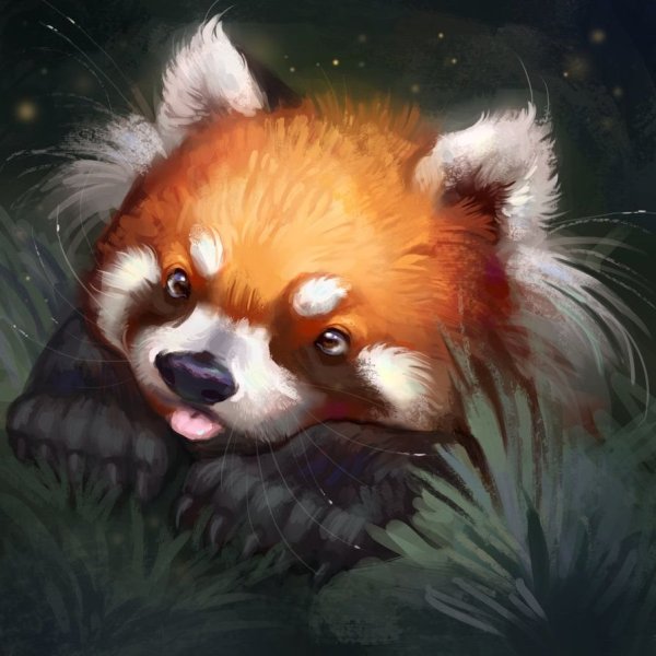 Красная Панда ЮТУБЕР