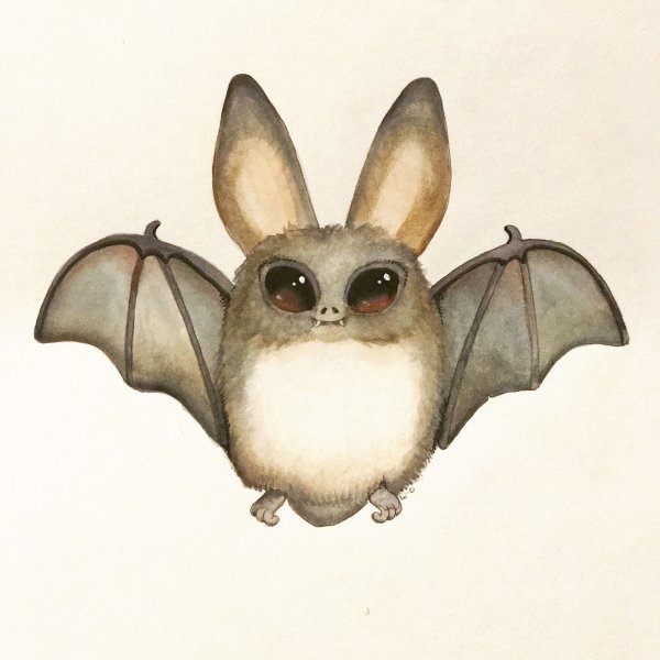 Летучая мышь арт