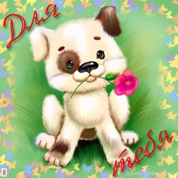 Стикеры с Хеллоу Китти телеграмм