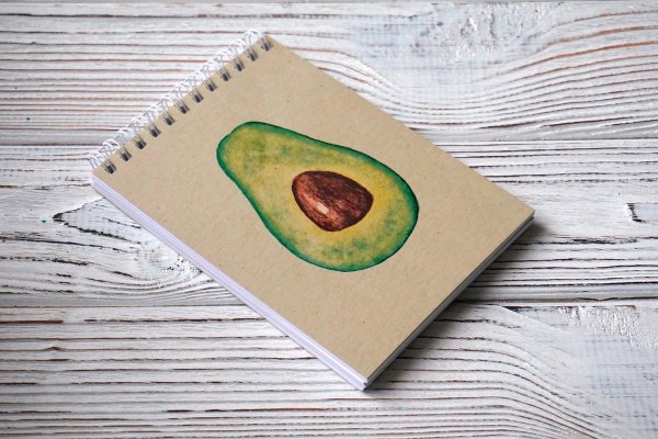 Sketchbook обложка Avocado