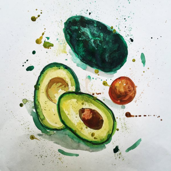 Скетчбук для рисования с авокадо