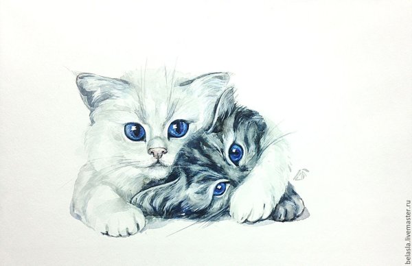 Милый котик рисунок