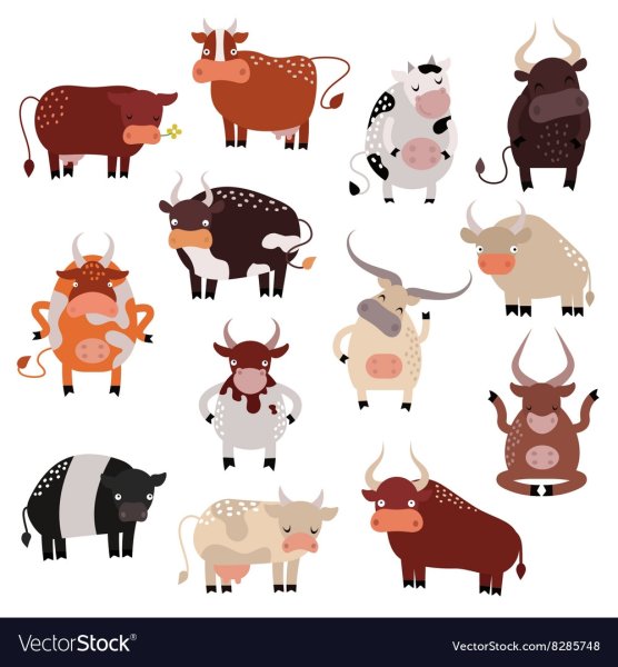 Фоны с быками и коровами вектор