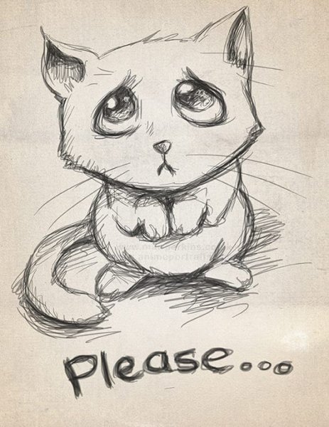 Кот из Шрека рисунок карандашом