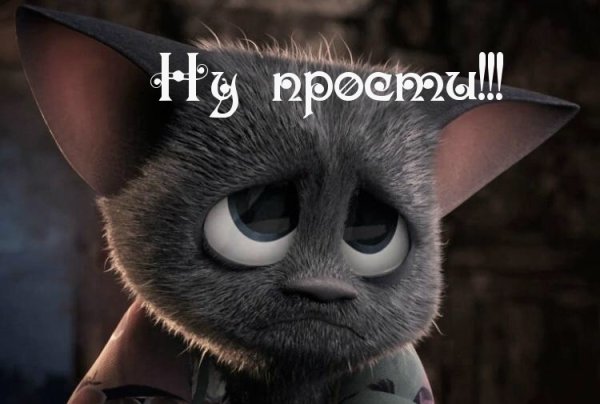 Милые котики с надписями прости