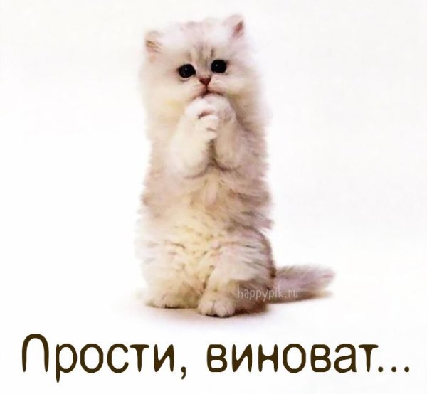 Открытки с извинениями