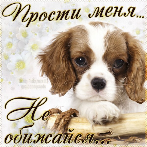 Прости меня Зайка