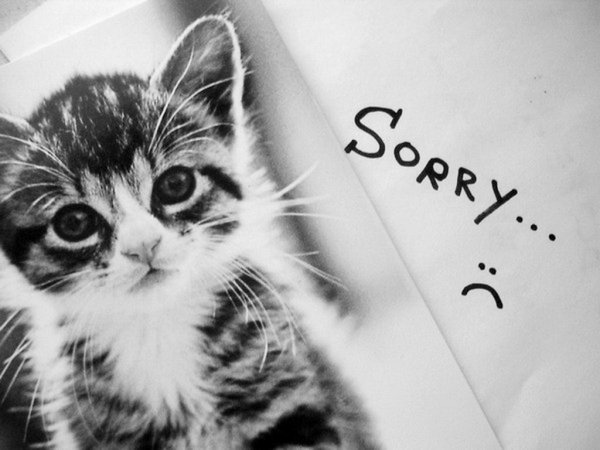 Запоздалое поздравление с днем рождения