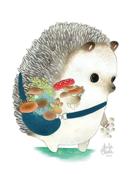 Еж картинки для детей дошкольного возраста