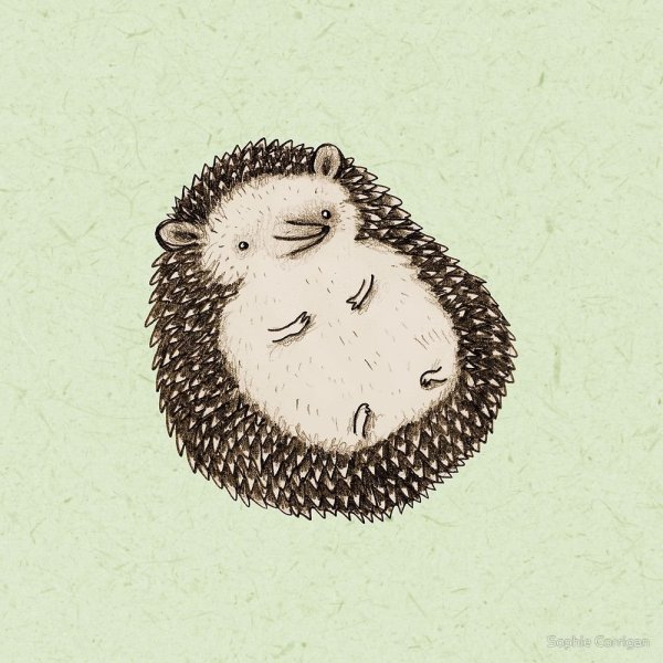 Ежик рисунок