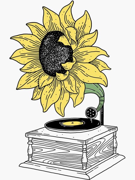 Подсолнух для детей