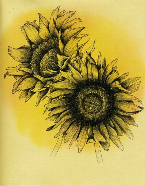 Подсолнух мультяшный