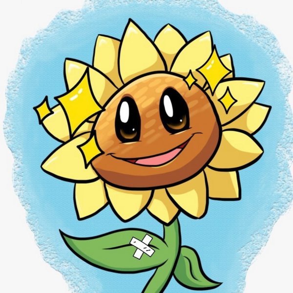 Подсолнух в разных ракурсах