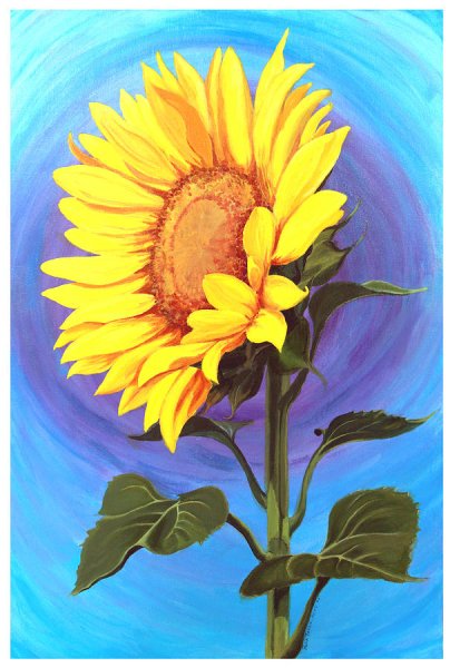 Подсолнух референс