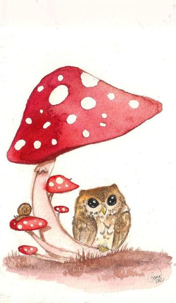 Лягушка инди КИД