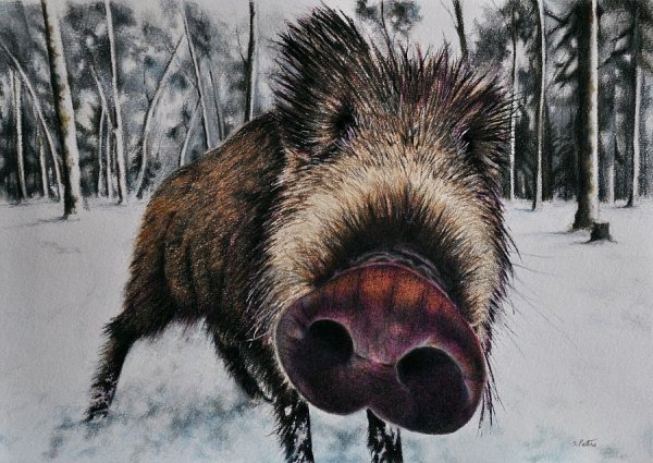 Милые свинки арт