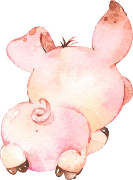 Свинья для срисовки легкие