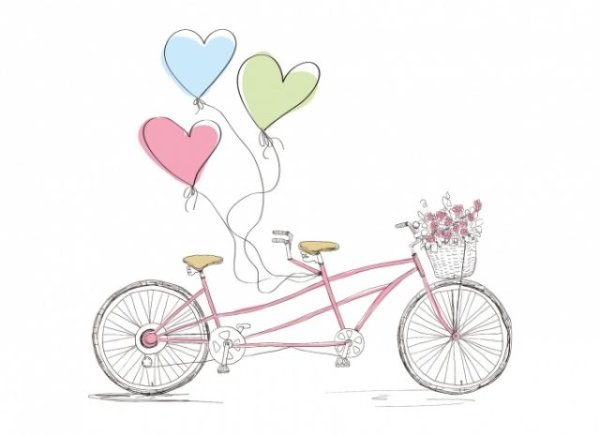 Свадебный велосипед вектор