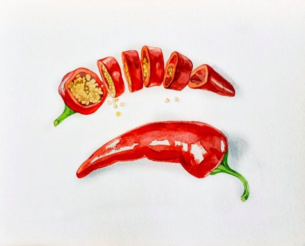 Скетчинг перец Чили