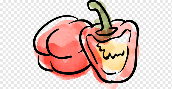 Эд перец рисунок