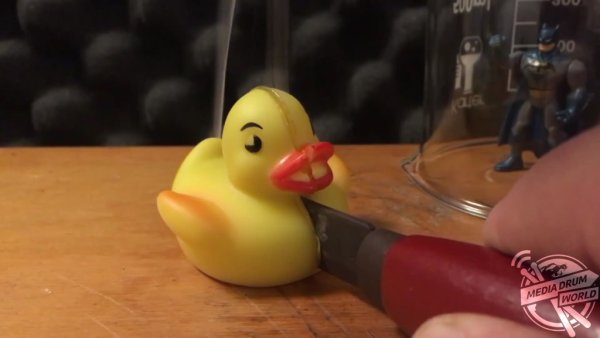 Мальчики гоняются за уткой рисунок