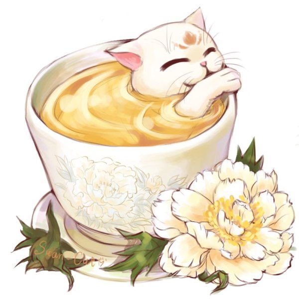 Чайные котики от Magic Cats Street: